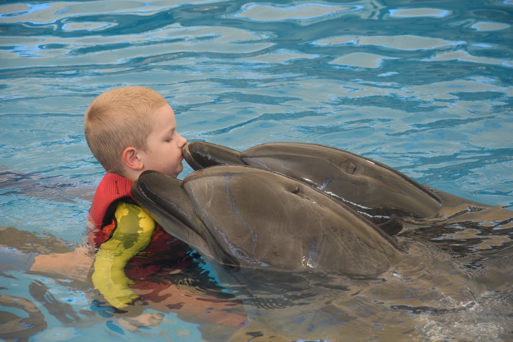Dominikovi pomohla delfínoterapie