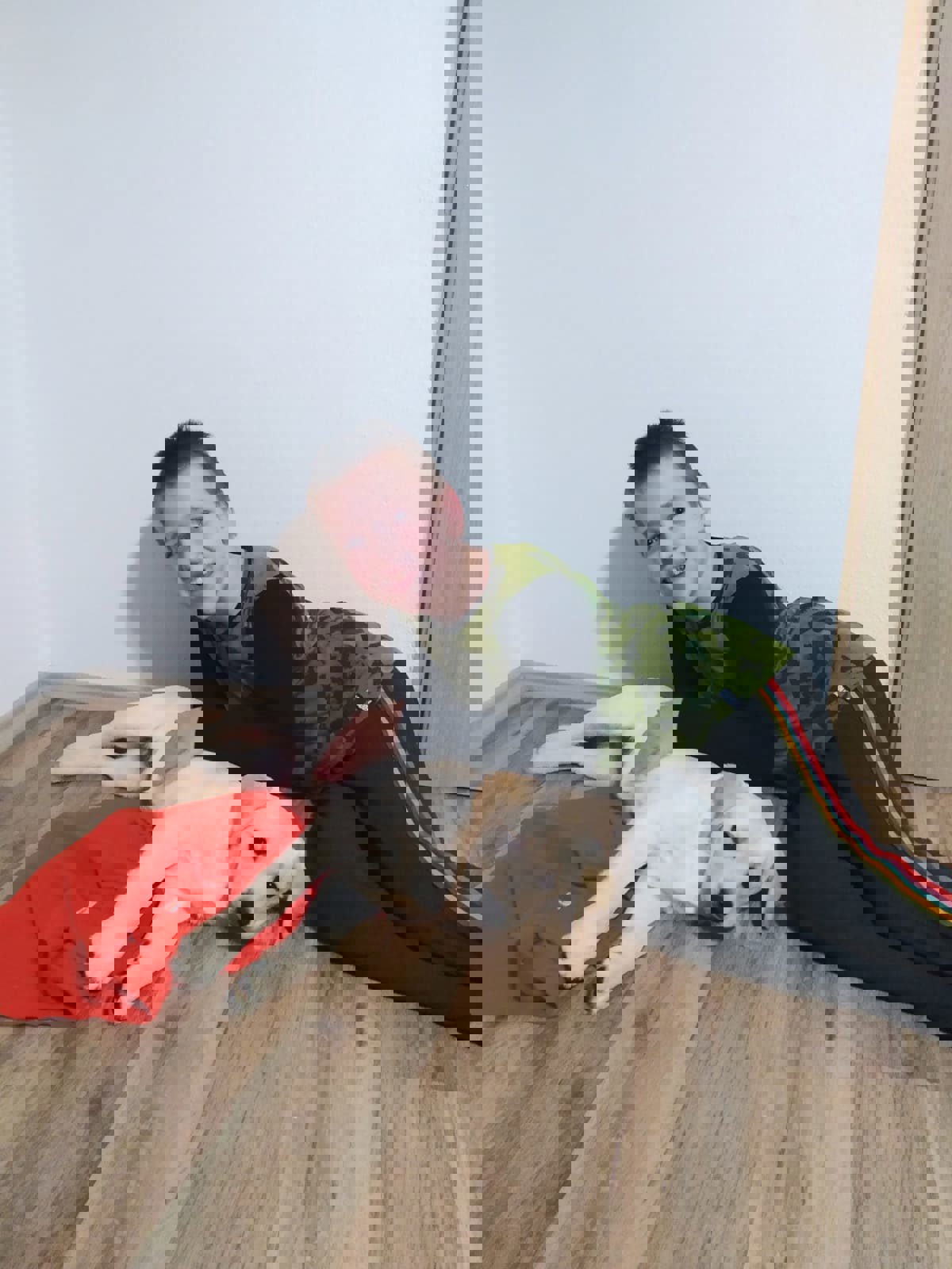 Terapeutický pes pro Davídka